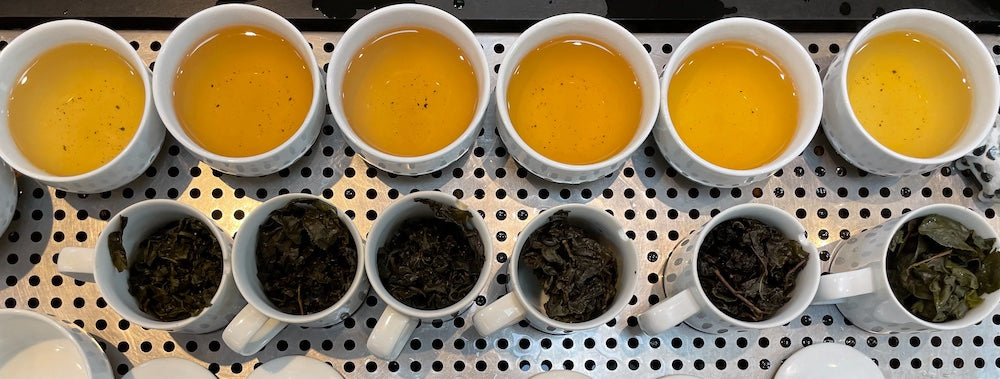 Oolong Starter - Subscription