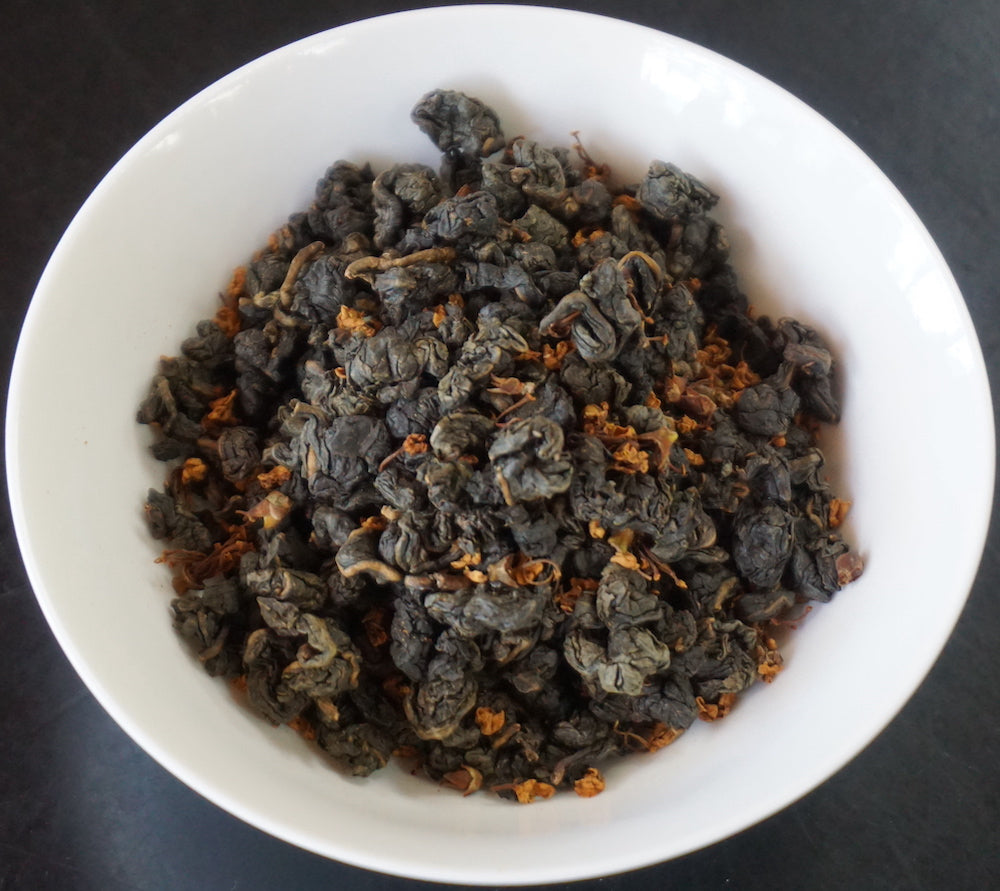 Osmanthus Goddess