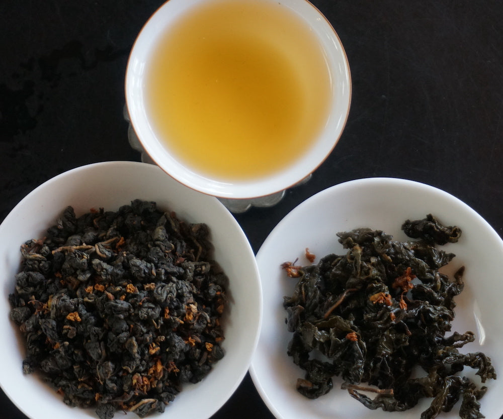Osmanthus Goddess