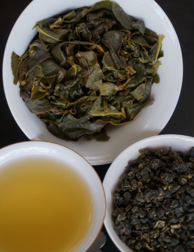 Green Gold Oolong — 4th Generation Cultivar
